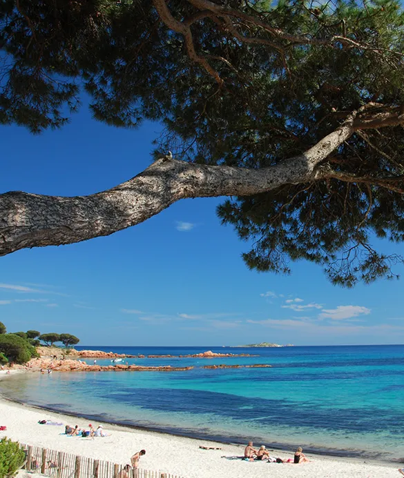 Plage de Palombaggia Porto-Vecchio Sud Corse
